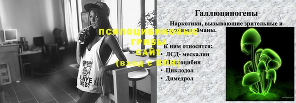стаф Алзамай