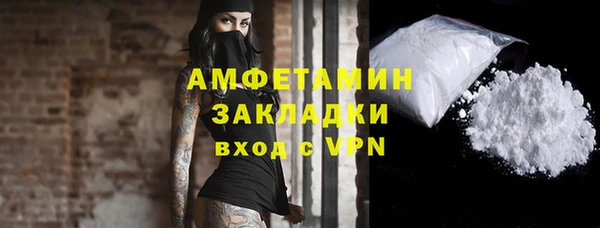 стаф Алзамай