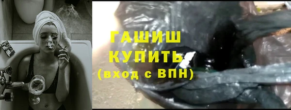 стаф Алзамай