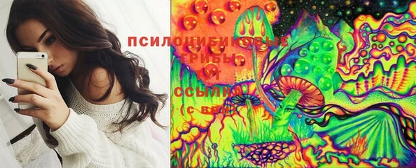 стаф Алзамай