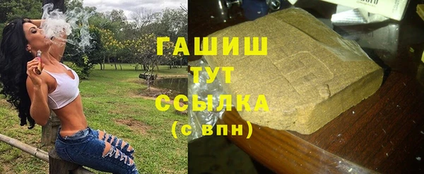 стаф Алзамай