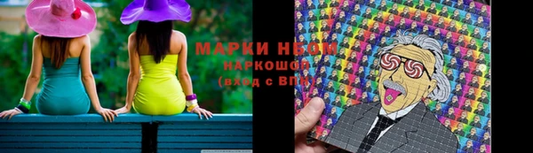 стаф Алзамай
